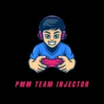 PMM Team Injector